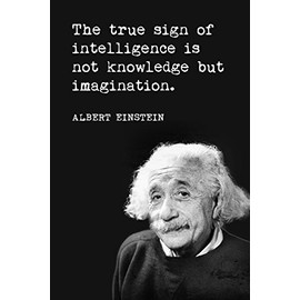 Keep Calm Collection The True Sign Of Intelligence (Albert Einstein Quote), motivational classroom poster