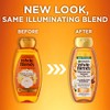 Garnier Whole Blends Illuminating Conditioner Moroccan Argan and Camellia Oils