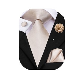 Hi-Tie Silk Men's Tie and Pocket Square Cufflinks Lapel Pin Set Jacquard Wedding Business Necktie for Formal,Beige