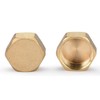 nutmanel Brass Cap 1/2 Inch Female Thread, Brass Blanking Plug