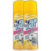 All in One Scrub Free Oven Cleaner Heavy Duty -