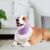 Furryilla Dog Ear Muffs with Noise Protection Breathable Calming Band