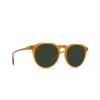 RAEN Optics Remmy 49 Honey/Green Polarized One Size
