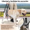 Arnés de Elevación para Perro,Ownpets Arnés de Elevación para Perros，Arneses