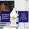 SciZyme - Enzyme Based Eliminator & Control Odors & Ammonia