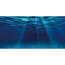 AWERT 72x24 inches Ocean Floor Aquarium Background Undersea Theme Aquarium Background Underwater Fish Tank Background