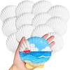 12 Pcs 4-5 Inch Large Scallop Seashells,Natural White Shells for