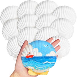 12 Pcs 4-5 Inch Large Scallop Seashells,Natural White Shells for Crafts