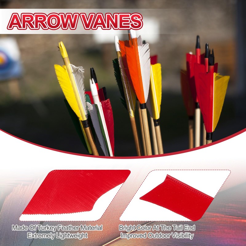 PATIKIL 4 Inch Arrow Vanes, 20 Pack Turkey Feather Fletching