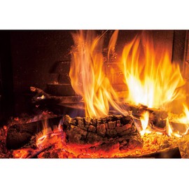 Haoyiyi 5x4ft Burning Firewoods Photography Backdrop Flaming Woods Blazing Fire Bricks Fireplace Background Kids Children Family Camping Outdoor Travel Barbeques Party Banner Portrait Photo Props