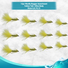 Bead Head Wooly Bugger Fly Fishing Flies for Trout and Other Freshwater Fish - One Dozen Wet Flies - 4 Size Assortment 6, 8, 10, 12 (3 of Each Size)/Hand Tied (Olive and Yellow)