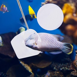 Aquarium Fish Net Small Round Fishing Net Stainless Steel Fish Shrimp Skimming Net Extendable Handle Shrimp Net Round Debris Skimming Net Pond Net Fish Scooper Net for Aquarium Fish Tank Pond (Blue)