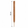 Moss Pole for Climbing Indoor Plants – Plant Fiber Support
