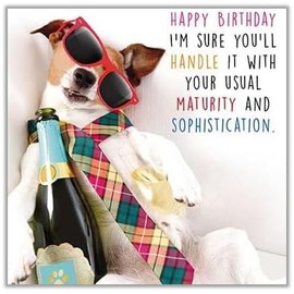 GBCC Male Birthday Card - General Funny Card for Men - Your Usual Maturity and Sophistication - Drunk Dog in Sunglasses - Eco-Friendly & Recyclable