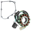 Celox Stator & Gasket for Suzuki RM-Z450 RMZ450 Rm Z450