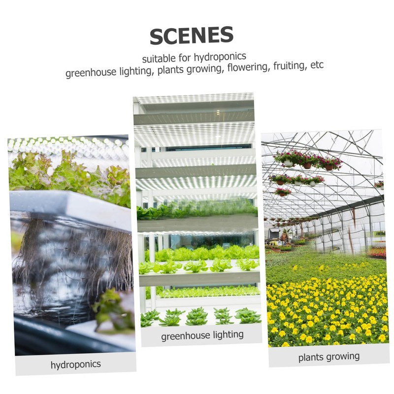 iplusmile Greenhouse Thermometer Indoor Hygrometer for Maximum Minimum Temperature Monitoring