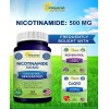 Nicotinamida 500 Resveratrol Precursor Nad Gmp