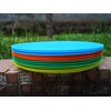 AOYITE Plastic Dinner Plates Reusable BPA Free Dishwasher Safe Microwaveable