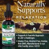 Nature's Answer Passion Flower | Super Concentrated | Liquid Herbal