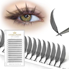 Premade Spire Lashes Anime Lash Fans C/D Curl Manga Chunk Natural Wispy Lash Extension Feather Shape Comic Lashes 0.07mm lndividual Lashes (Black Spire, 0.07-D-11mm)