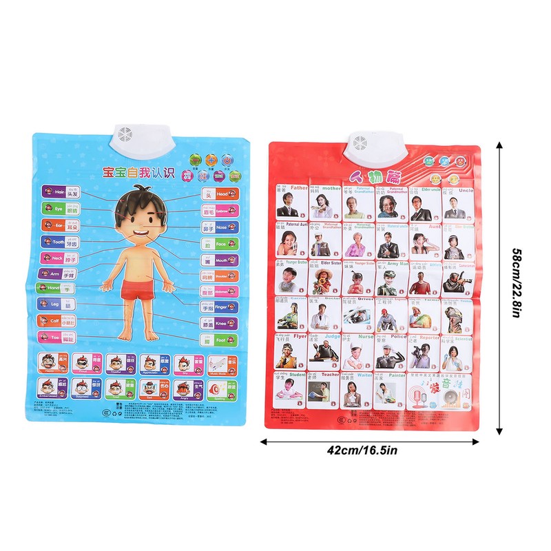 2pcs Chinese English Phonics Posters Multipurpose Fun Early Education Self