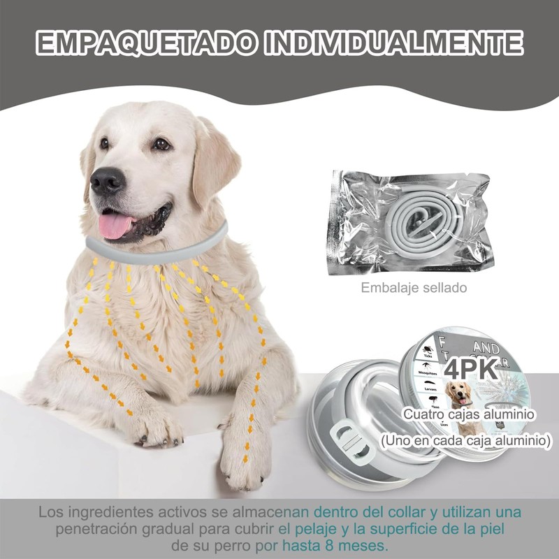 RYEWGRV 4 Pieza Collar con Hebilla, 65CM/26.6in (Gris)