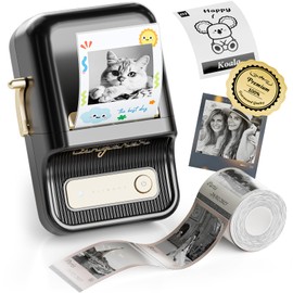 NIIMBOT NIIMBOT B21 Pro Label Maker, 300DPI HD Label Printer, Ideal for Notes,Photos, Study Graphics, Memo Maker,50x30mm Label,230Pcs(Black)