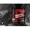 Creatina Monohidratada 1kg Strong Protein Varios Sabores