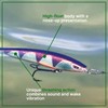 Freedom Tackle Mischief Minnow – 4.5" Floating Topwater Lure, Golden