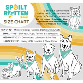 Spoilt Rotten Pets Blue My Humans Are Getting Married Dog Bandana - Wedding Announcement Big Reveal For Dogs (S3 Medium Dogs, Labs, Staffies & Springers)