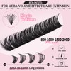 Goddvenus Eyelashes Cluster Lashes 14-20mm Thick Fluffy Individual Eyelashes 80D-200D