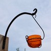 Backyard Essentials Ornate Bird Feeder, Orange Bubble Glass Hanging Jelly