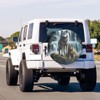 Foruidea 3D Printed Wolf Spare Tire Cover Dust-Proof Wheel Tire