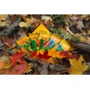 Variations of Nature Awards Fruit Leather (lavashak for USA) (Multiple,