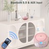 WIITHINK Portable CD Player Boombox with Bluetooth,FM Radio,USB MP3 Playback,AUX-in,Headphone