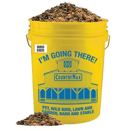 CountryMax Backyard Seeds Classic Berry Blend Sunflower Bird Seed Mix in Bucket 15 Pounds