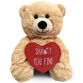 Witty Enterprise Shawty You Fine - Oso de peluche de 10 pulgadas - Regalos para parejas para ella - Divertido peluche para novia, novio, mejor amigo, cumpleaños, compromiso, San Valentín, aniversario,