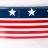 Bone Dry Stars & Stripes Patriotic Flag Ceramic Pet Bowl