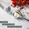JAONLD Garlic Mincer Slicer, Professional Kitchen Garlic Peeling Helper Multi-Functional
