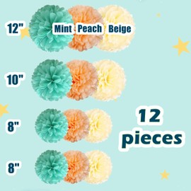 12 Pcs Tissue Pom Poms Decorations, Tissue Paper Flowers Kit for Birthday, Baby Shower, Classroom, Nursery, Graduation, Bridal Shower, Bachelorette Party (Mint Green, Peach, Beige Mixed)