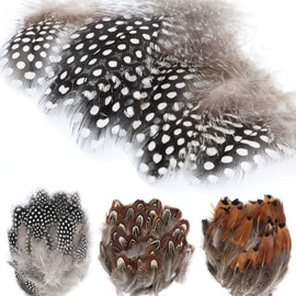 MWOOT 300PCS Spotted Chicken Feathers Natural Pheasant Plumage Feathers for DIY Crafts, Clothing, Jewelry, Wedding, Birthday Party, Dream Catcher Decoration