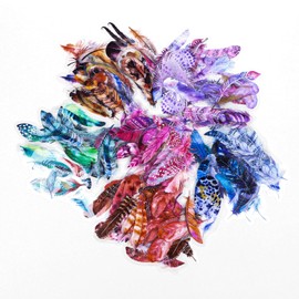 WENSIDUO 240 Pcs Transparent Feather Stickers Set 6 Styles, Self-Adhesive Vintage Natural Stickers for Scrapbooking, Journal, Notebook, Laptop, Cell Phone.