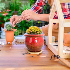 ARTKETTY Succulent Pots, 4.5/3 Inch Small Succulent Plant Pots with Drainage Tray Colorful Cactus Planter Ceramic Pot for Small Plants Pack of 8