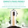 Traveling Panda Mini Travel Bamboo Toothbrush Kit with 2 Soft