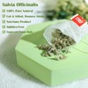 TEARELAE - Premium Sage Leaf Tea Bags - 1.5g x