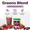Amazing Grass Greens Blend Antioxidant: Super Greens Powder Smoothie Mix