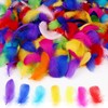 MWOOT 450+ Pcs Colorful Nature Feathers, Art Crafts Decorative Goose Feather for Dream Catchers Headband Jewelry Making Wedding Themed Party Festivals