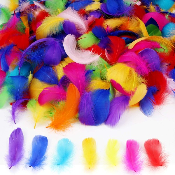 MWOOT 450+ Pcs Colorful Nature Feathers, Art Crafts Decorative Goose Feather for Dream Catchers Headband Jewelry Making Wedding Themed Party Festivals