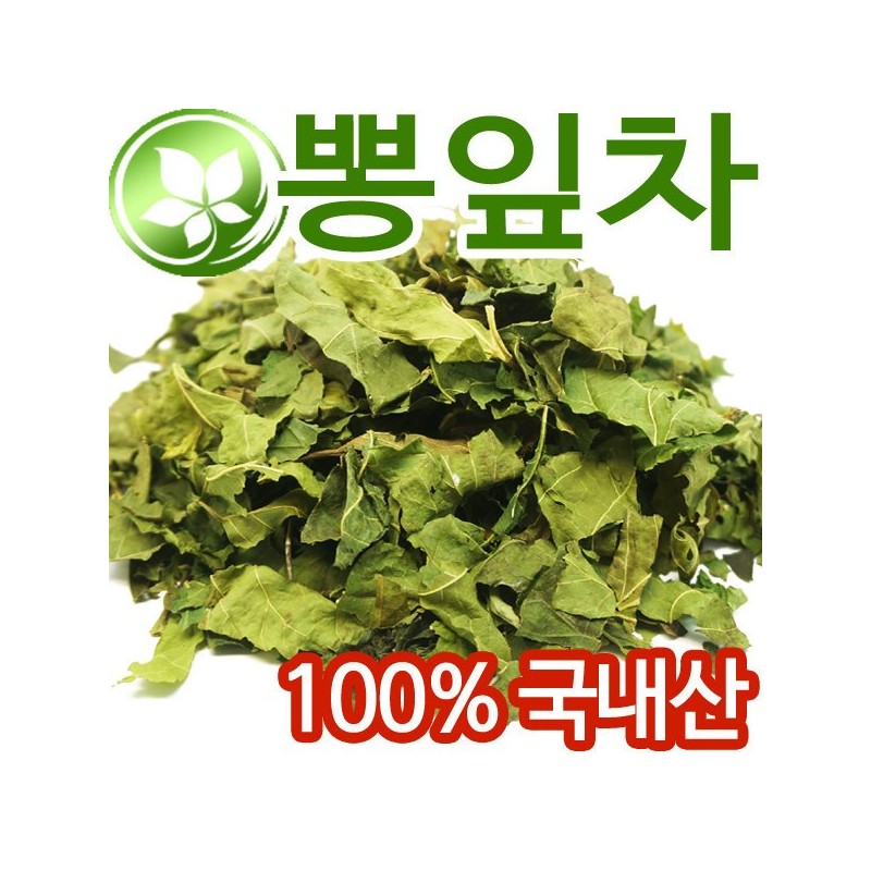 국산 뽕잎차 600g 말린 뽕잎 상엽 오디 뽕나무잎 Korean Mulberry