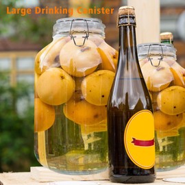 CARBLIN Glass Jar 1 Gallon/128 oz, Wide Mouth Storage Jars with Airtight Hinged Clamp Lid, Round Large Mason Jar with Sponge Spoon Labels, Kitchen Container for Canning, Flour, Pasta, Sugar